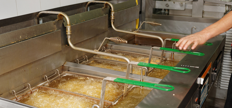 Faber Commercial Fryer Repair in Ajax 
